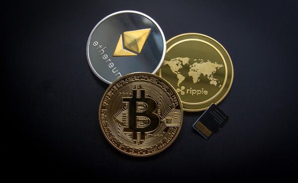 Bitcoin and the Growth of Cryptocurrencies
